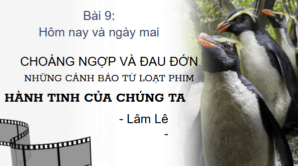 Giáo án điện tử bài Choáng ngợp và đau đớn những cảnh báo từ loạt phim Hành tinh của chúng ta | PPT Văn 8 Kết nối tri thức