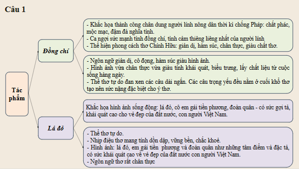 Giáo án điện tử bài Củng cố, mở rộng trang 56 | PPT Văn 8 Kết nối tri thức