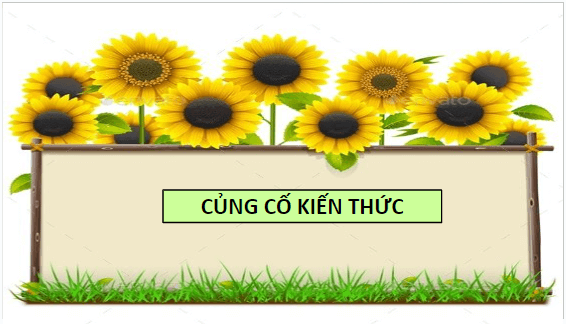 Giáo án điện tử bài Nghe và nắm bắt nội dung chính đã trao đổi, thảo luận và trình bày lại nội dung đó | PPT Văn 8 Chân trời sáng tạo