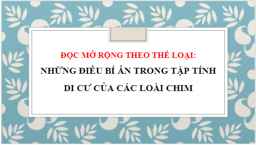 Giáo án điện tử bài Những điều bí ẩn trong tập tính di cư của các loài chim | PPT Văn 8 Chân trời sáng tạo