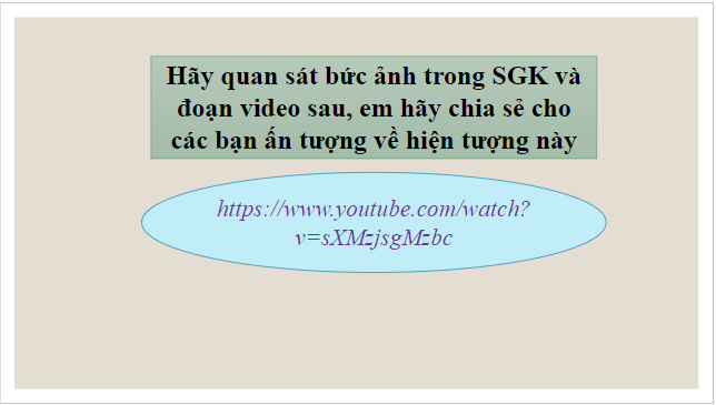 Giáo án điện tử bài Những điều bí ẩn trong tập tính di cư của các loài chim | PPT Văn 8 Chân trời sáng tạo