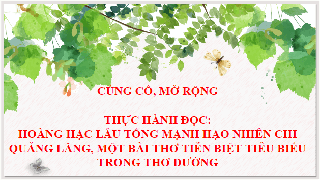 Giáo án điện tử bài Củng cố, mở rộng trang 111 | PPT Văn 9 Kết nối tri thức