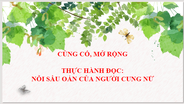 Giáo án điện tử bài Nỗi sầu oán của người cung nữ | PPT Văn 9 Kết nối tri thức