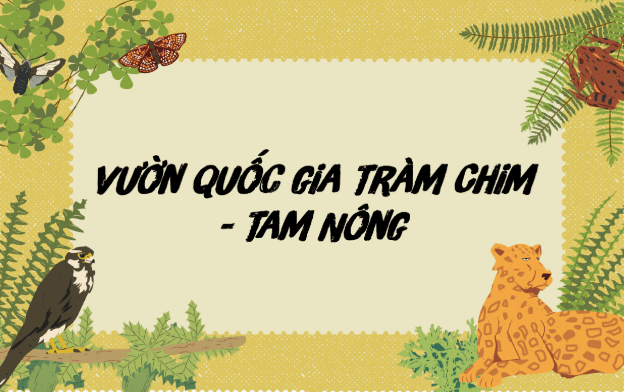 Giáo án điện tử bài Vườn quốc gia Tràm Chim - Tam Nông | PPT Văn 9 Cánh diều