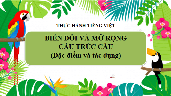 Giáo án điện tử bài Thực hành tiếng Việt trang 104 Tập 2 | PPT Văn 9 Chân trời sáng tạo