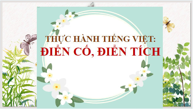 Giáo án điện tử bài Thực hành tiếng Việt trang 43 | PPT Văn 9 Cánh diều