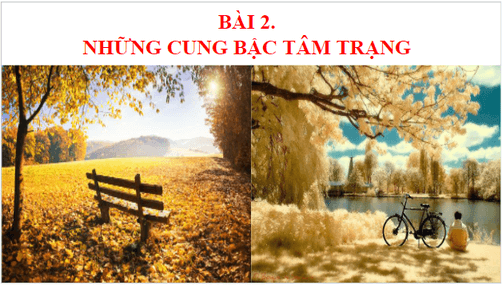 Giáo án điện tử bài Thực hành tiếng Việt trang 46 | PPT Văn 9 Kết nối tri thức