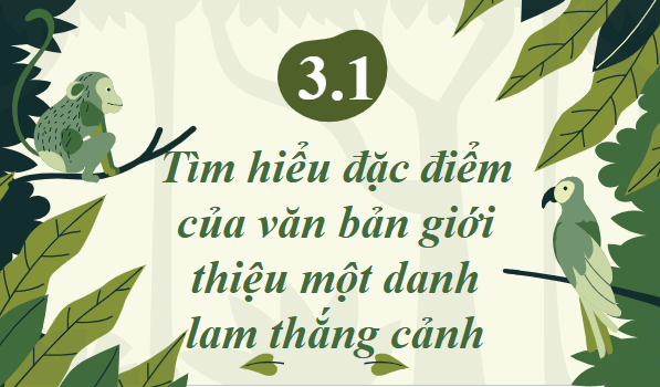 Giáo án điện tử bài Vườn quốc gia Cúc Phương | PPT Văn 9 Chân trời sáng tạo