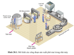 Giáo án Sinh học 10 Cánh diều Bài 20: Thành tựu của công nghệ vi sinh vật và ứng dụng của vi sinh vật