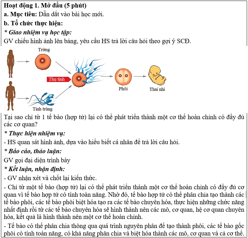 Giáo án Chuyên đề Sinh học 10 Chân trời sáng tạo Bài 1: Khái quát về công nghệ tế bào