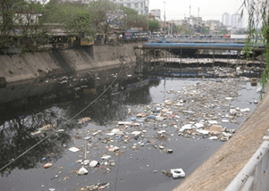 Giáo án Chuyên đề Sinh học 10 Kết nối tri thức Bài 11: Công nghệ ứng dụng vi sinh vật trong xử lý ô nhiễm môi trường