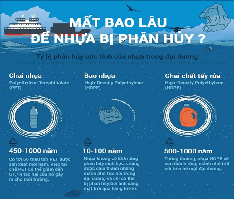 Giáo án Chuyên đề Sinh học 10 Chân trời sáng tạo Bài 6: Thành tựu của công nghệ enzyme