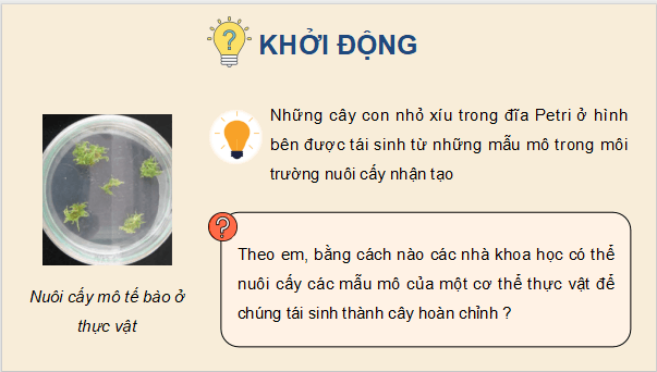 Giáo án điện tử Chuyên đề Sinh học 10 Kết nối tri thức (hay nhất) | Bài giảng powerpoint (PPT) Chuyên đề Sinh 10