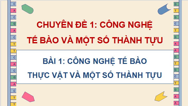 Giáo án điện tử Chuyên đề Sinh học 10 Kết nối tri thức (hay nhất) | Bài giảng powerpoint (PPT) Chuyên đề Sinh 10