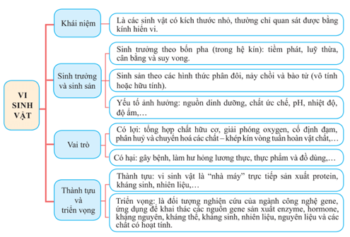 Giáo án Sinh học 10 Cánh diều Ôn tập Phần 3 (trang 143, 144)