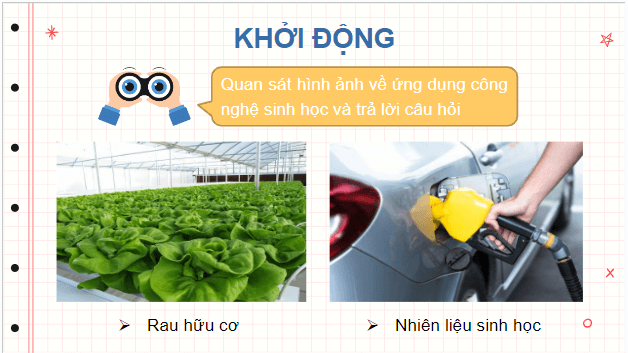 Giáo án điện tử Sinh 10 Cánh diều Bài 1: Giới thiệu chương trình môn sinh học. Sinh học và sự phát triển bền vững | PPT Sinh học 10