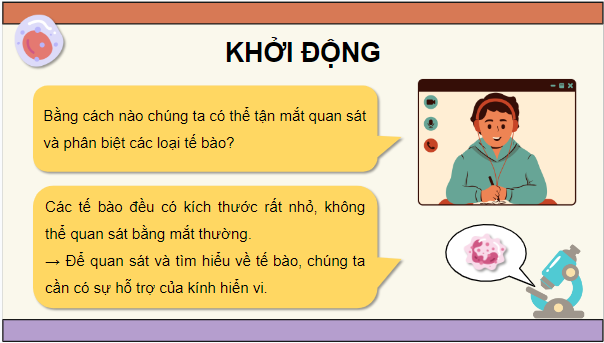 Giáo án điện tử Sinh 10 Chân trời sáng tạo Bài 10: Thực hành: Quan sát tế bào | PPT Sinh học 10