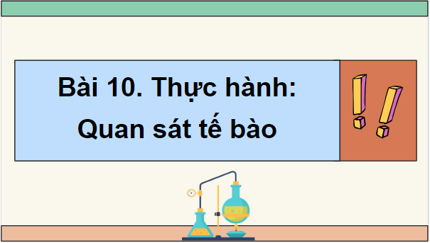 Giáo án điện tử Sinh 10 Chân trời sáng tạo Bài 10: Thực hành: Quan sát tế bào | PPT Sinh học 10