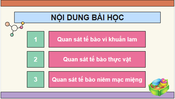 Giáo án điện tử Sinh 10 Chân trời sáng tạo Bài 10: Thực hành: Quan sát tế bào | PPT Sinh học 10