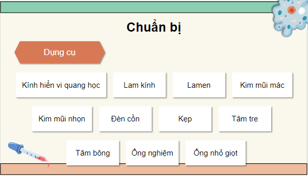 Giáo án điện tử Sinh 10 Chân trời sáng tạo Bài 10: Thực hành: Quan sát tế bào | PPT Sinh học 10