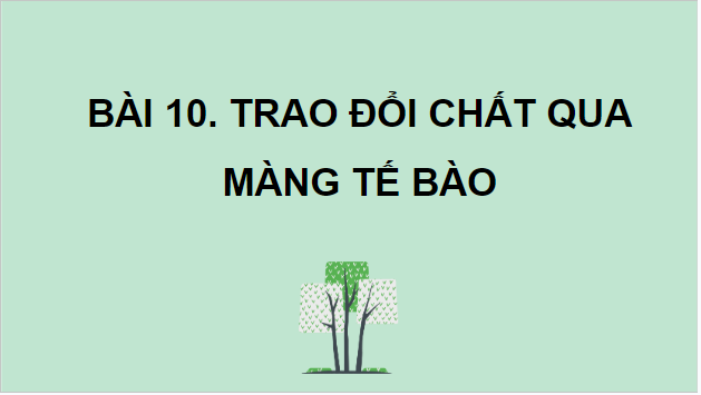 Giáo án điện tử Sinh 10 Kết nối tri thức Bài 10: Trao đổi chất qua màng tế bào | PPT Sinh học 10