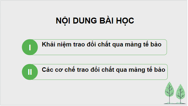 Giáo án điện tử Sinh 10 Kết nối tri thức Bài 10: Trao đổi chất qua màng tế bào | PPT Sinh học 10