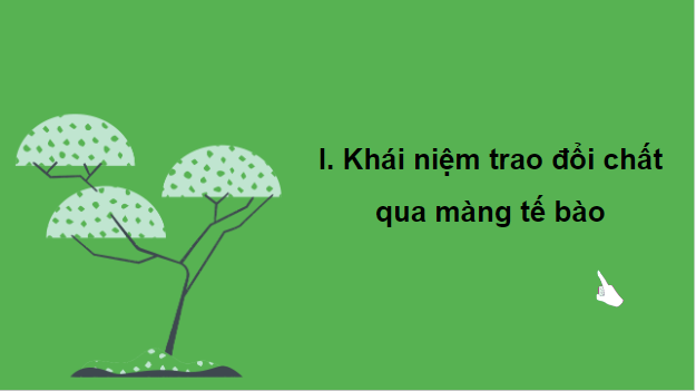 Giáo án điện tử Sinh 10 Kết nối tri thức Bài 10: Trao đổi chất qua màng tế bào | PPT Sinh học 10