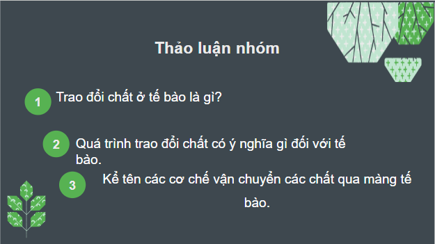 Giáo án điện tử Sinh 10 Kết nối tri thức Bài 10: Trao đổi chất qua màng tế bào | PPT Sinh học 10