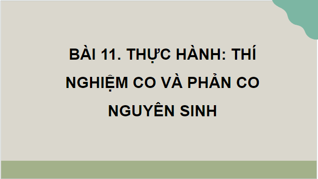 Giáo án điện tử Sinh 10 Kết nối tri thức Bài 11: Thực hành thí nghiệm co và phản co nguyên sinh | PPT Sinh học 10