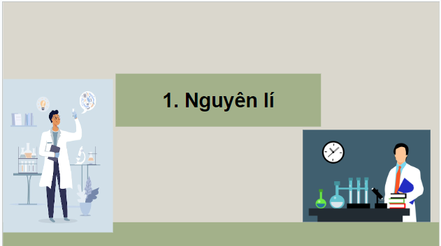 Giáo án điện tử Sinh 10 Kết nối tri thức Bài 11: Thực hành thí nghiệm co và phản co nguyên sinh | PPT Sinh học 10