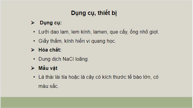 Giáo án điện tử Sinh 10 Kết nối tri thức Bài 11: Thực hành thí nghiệm co và phản co nguyên sinh | PPT Sinh học 10