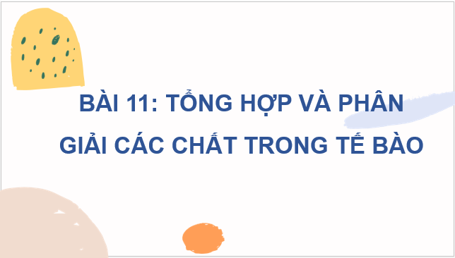 Giáo án điện tử Sinh 10 Cánh diều Bài 11: Tổng hợp và phân giải các chất trong tế bào | PPT Sinh học 10