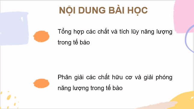 Giáo án điện tử Sinh 10 Cánh diều Bài 11: Tổng hợp và phân giải các chất trong tế bào | PPT Sinh học 10