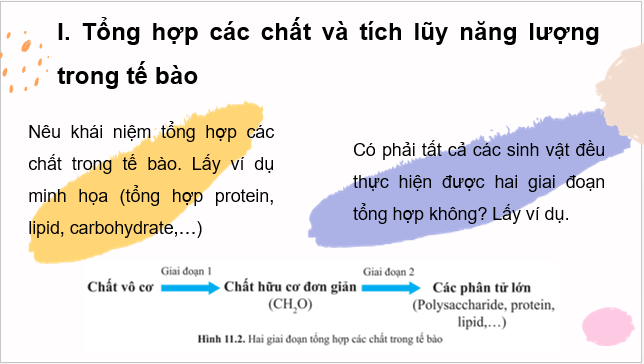 Giáo án điện tử Sinh 10 Cánh diều Bài 11: Tổng hợp và phân giải các chất trong tế bào | PPT Sinh học 10