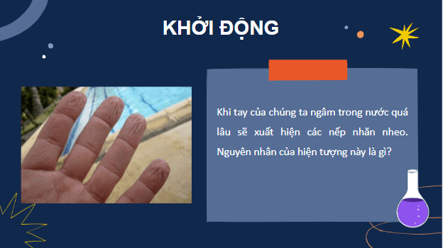 Giáo án điện tử Sinh 10 Chân trời sáng tạo Bài 11: Vận chuyển các chất qua màng sinh chất | PPT Sinh học 10