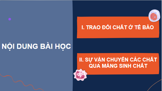 Giáo án điện tử Sinh 10 Chân trời sáng tạo Bài 11: Vận chuyển các chất qua màng sinh chất | PPT Sinh học 10