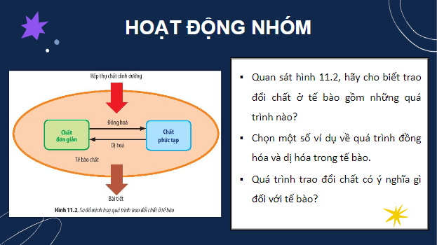 Giáo án điện tử Sinh 10 Chân trời sáng tạo Bài 11: Vận chuyển các chất qua màng sinh chất | PPT Sinh học 10