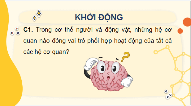 Giáo án điện tử Sinh 10 Cánh diều Bài 12: Thông tin tế bào | PPT Sinh học 10