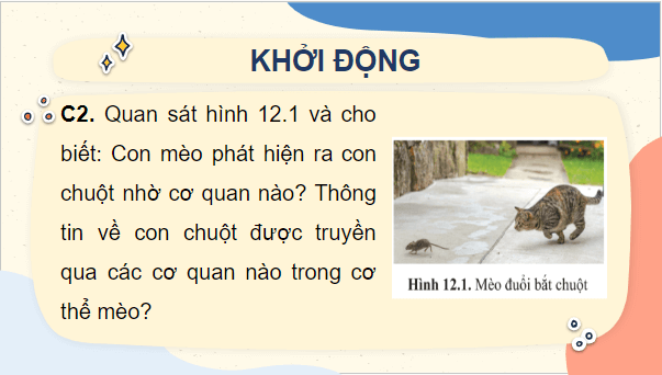 Giáo án điện tử Sinh 10 Cánh diều Bài 12: Thông tin tế bào | PPT Sinh học 10