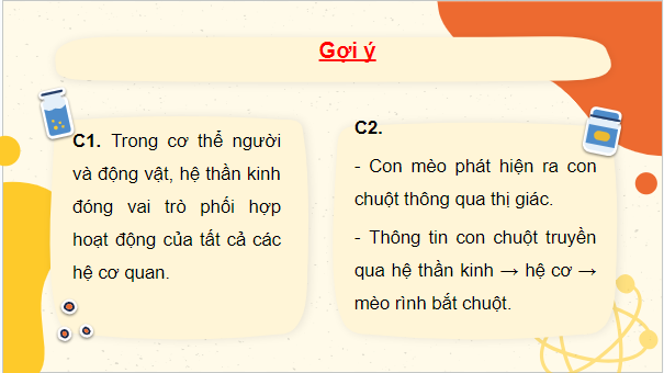 Giáo án điện tử Sinh 10 Cánh diều Bài 12: Thông tin tế bào | PPT Sinh học 10