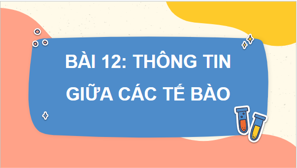 Giáo án điện tử Sinh 10 Cánh diều Bài 12: Thông tin tế bào | PPT Sinh học 10