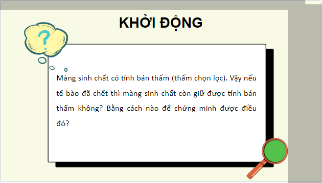 Giáo án điện tử Sinh 10 Chân trời sáng tạo Bài 12: Thực hành: Sự vận chuyển các chất qua màng sinh chất | PPT Sinh học 10