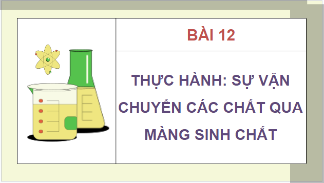 Giáo án điện tử Sinh 10 Chân trời sáng tạo Bài 12: Thực hành: Sự vận chuyển các chất qua màng sinh chất | PPT Sinh học 10