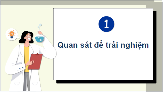 Giáo án điện tử Sinh 10 Chân trời sáng tạo Bài 12: Thực hành: Sự vận chuyển các chất qua màng sinh chất | PPT Sinh học 10