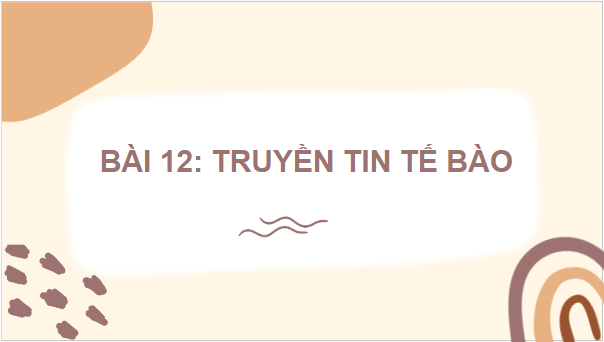 Giáo án điện tử Sinh 10 Kết nối tri thức Bài 12: Truyền tin tế bào | PPT Sinh học 10