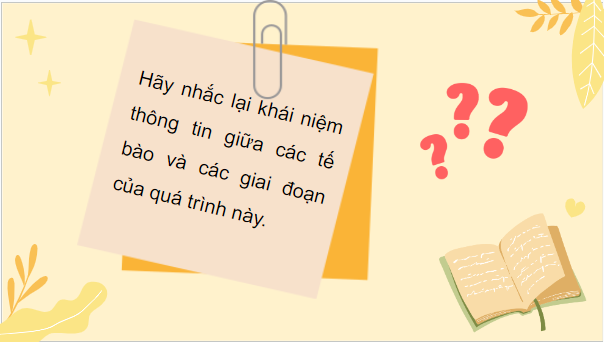 Giáo án điện tử Sinh 10 Cánh diều Bài 13: Chu kì tế bào và nguyên phân | PPT Sinh học 10