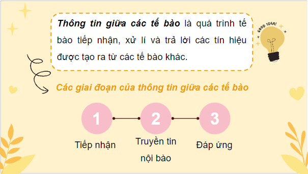 Giáo án điện tử Sinh 10 Cánh diều Bài 13: Chu kì tế bào và nguyên phân | PPT Sinh học 10