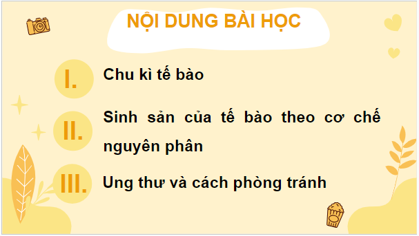 Giáo án điện tử Sinh 10 Cánh diều Bài 13: Chu kì tế bào và nguyên phân | PPT Sinh học 10