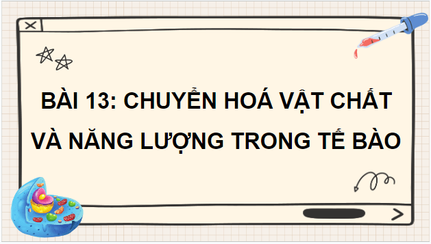 Giáo án điện tử Sinh 10 Chân trời sáng tạo Bài 13: Chuyển hóa vật chất và năng lượng trong tế bào | PPT Sinh học 10