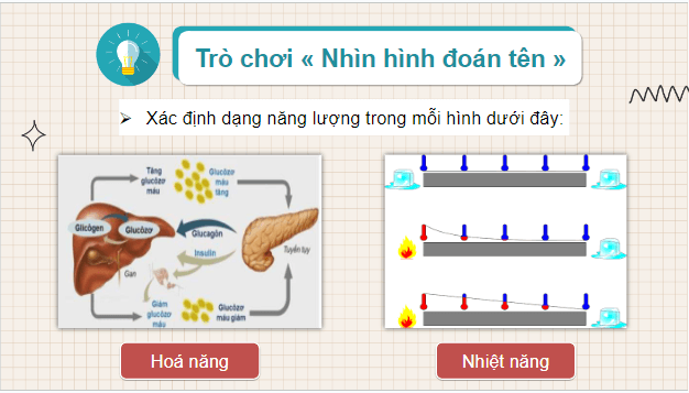 Giáo án điện tử Sinh 10 Chân trời sáng tạo Bài 13: Chuyển hóa vật chất và năng lượng trong tế bào | PPT Sinh học 10